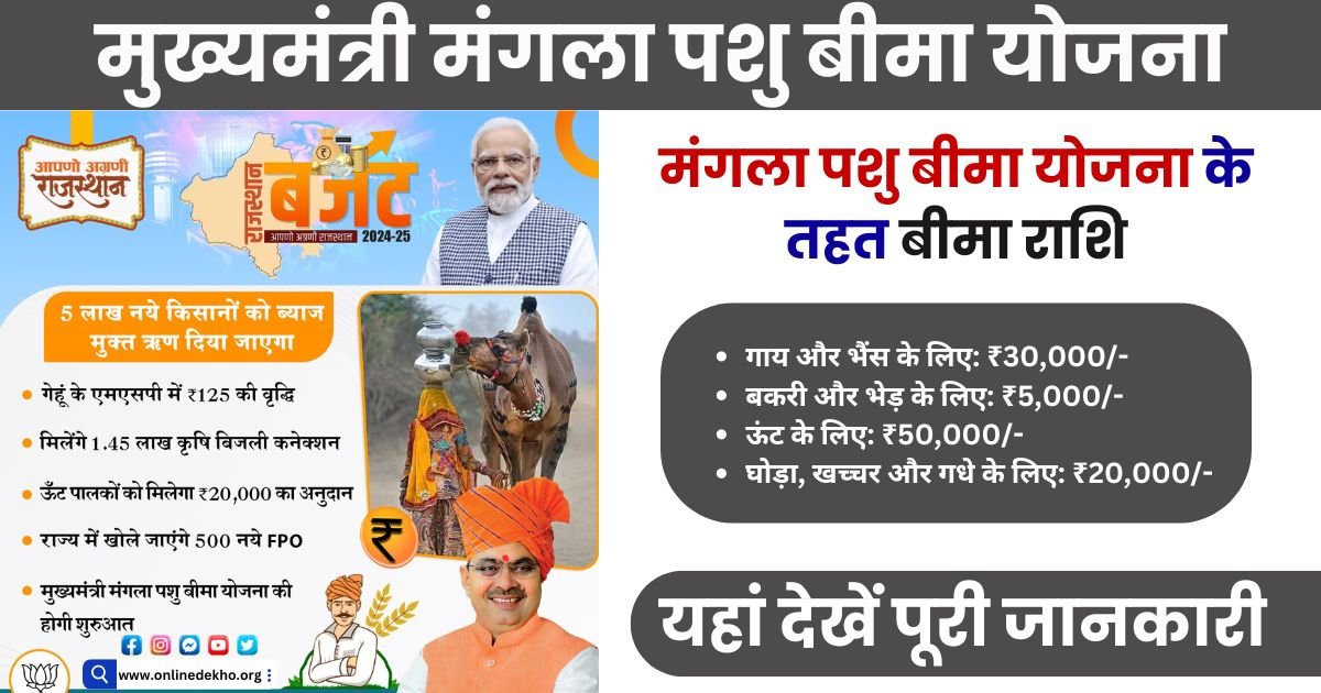 Mukhyamantri Mangala Pashu Bima Yojana Photo